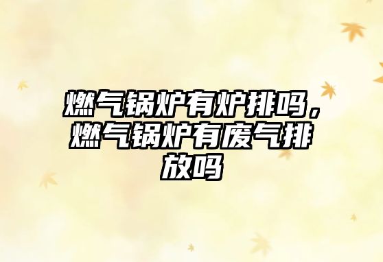 燃?xì)忮仩t有爐排嗎，燃?xì)忮仩t有廢氣排放嗎