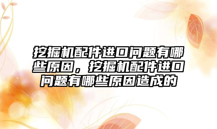 挖掘機配件進口問題有哪些原因，挖掘機配件進口問題有哪些原因造成的