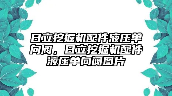 日立挖掘機(jī)配件液壓單向閥，日立挖掘機(jī)配件液壓單向閥圖片