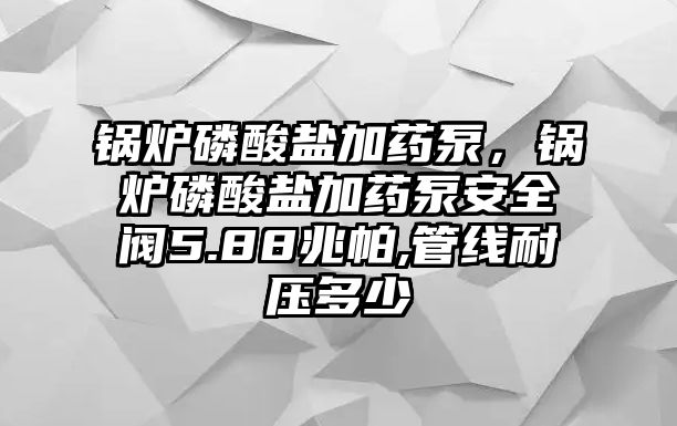 鍋爐磷酸鹽加藥泵，鍋爐磷酸鹽加藥泵安全閥5.88兆帕,管線耐壓多少