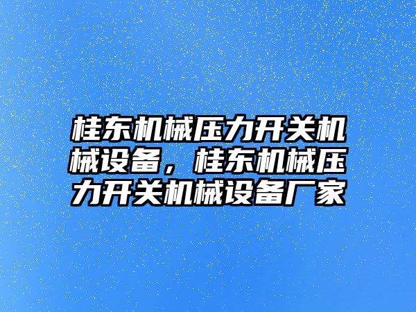 桂東機械壓力開關機械設備，桂東機械壓力開關機械設備廠家