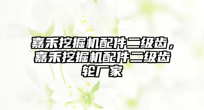 嘉禾挖掘機配件二級齒，嘉禾挖掘機配件二級齒輪廠家