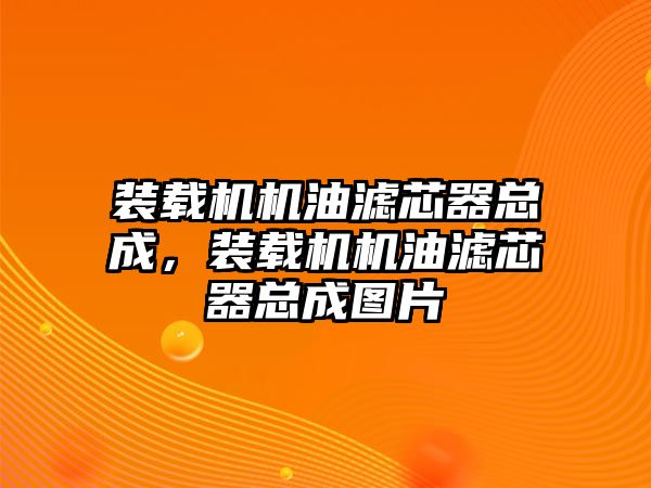 裝載機機油濾芯器總成，裝載機機油濾芯器總成圖片