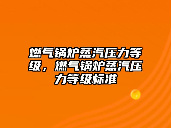 燃?xì)忮仩t蒸汽壓力等級，燃?xì)忮仩t蒸汽壓力等級標(biāo)準(zhǔn)