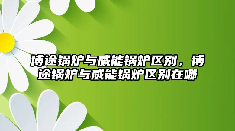 博途鍋爐與威能鍋爐區(qū)別，博途鍋爐與威能鍋爐區(qū)別在哪