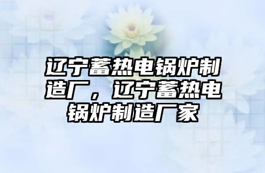 遼寧蓄熱電鍋爐制造廠，遼寧蓄熱電鍋爐制造廠家