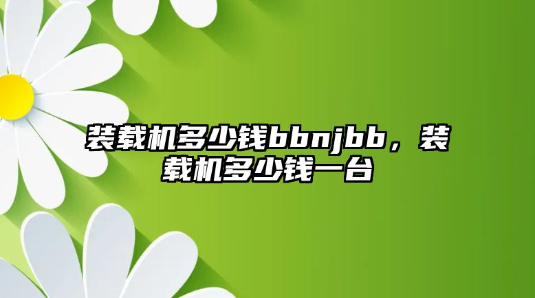 裝載機多少錢bbnjbb，裝載機多少錢一臺