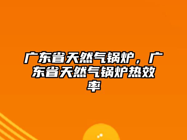 廣東省天然氣鍋爐，廣東省天然氣鍋爐熱效率