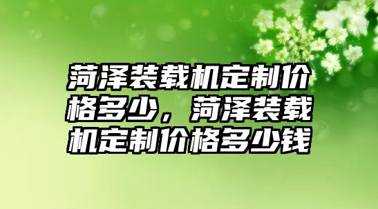 菏澤裝載機(jī)定制價(jià)格多少，菏澤裝載機(jī)定制價(jià)格多少錢