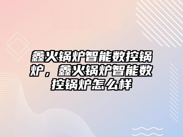 鑫火鍋爐智能數(shù)控鍋爐，鑫火鍋爐智能數(shù)控鍋爐怎么樣