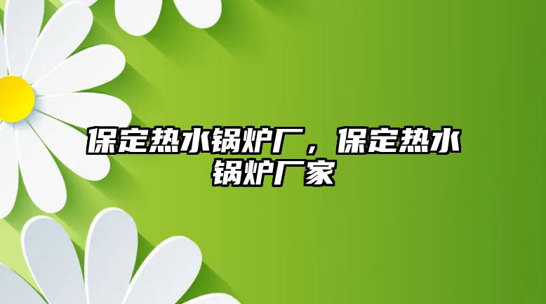 保定熱水鍋爐廠，保定熱水鍋爐廠家