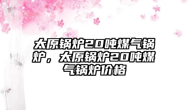 太原鍋爐20噸煤氣鍋爐，太原鍋爐20噸煤氣鍋爐價(jià)格