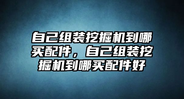 自己組裝挖掘機(jī)到哪買(mǎi)配件，自己組裝挖掘機(jī)到哪買(mǎi)配件好