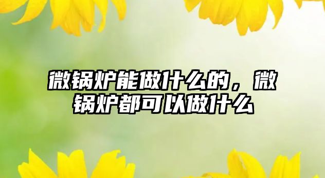 微鍋爐能做什么的，微鍋爐都可以做什么