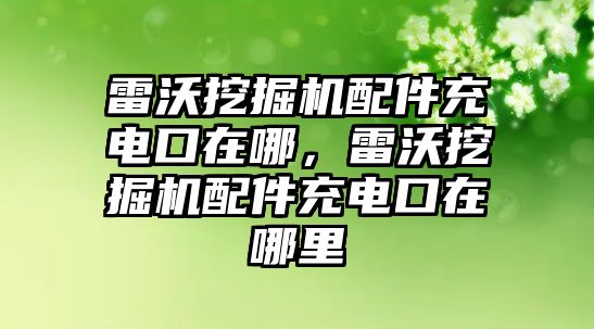 雷沃挖掘機配件充電口在哪，雷沃挖掘機配件充電口在哪里