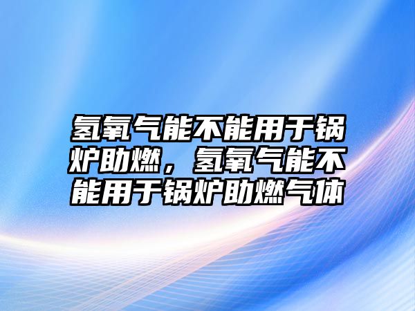 氫氧氣能不能用于鍋爐助燃，氫氧氣能不能用于鍋爐助燃?xì)怏w