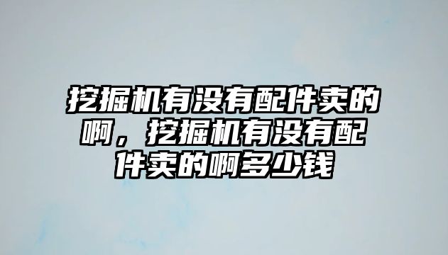 挖掘機(jī)有沒有配件賣的啊，挖掘機(jī)有沒有配件賣的啊多少錢