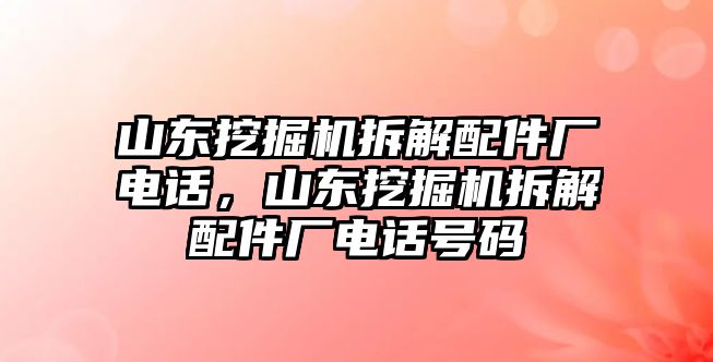 山東挖掘機拆解配件廠電話，山東挖掘機拆解配件廠電話號碼