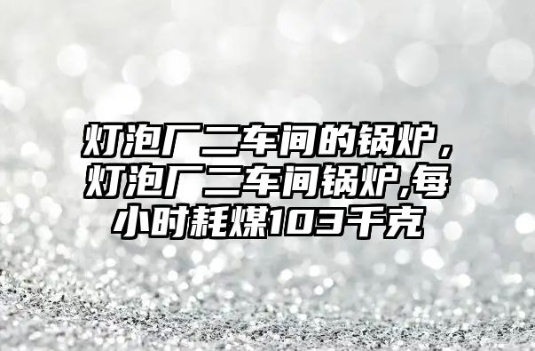 燈泡廠二車間的鍋爐，燈泡廠二車間鍋爐,每小時(shí)耗煤103千克