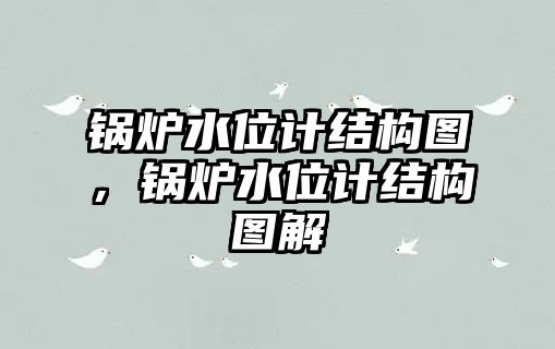 鍋爐水位計(jì)結(jié)構(gòu)圖，鍋爐水位計(jì)結(jié)構(gòu)圖解