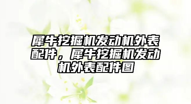 犀牛挖掘機發(fā)動機外表配件，犀牛挖掘機發(fā)動機外表配件圖