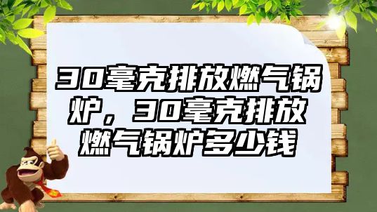 30毫克排放燃氣鍋爐，30毫克排放燃氣鍋爐多少錢