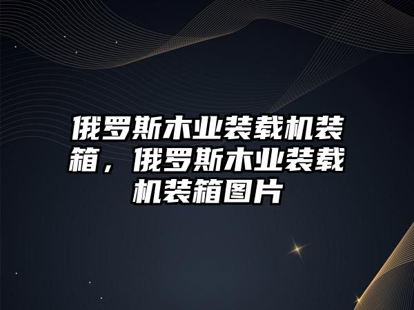 俄羅斯木業(yè)裝載機裝箱，俄羅斯木業(yè)裝載機裝箱圖片