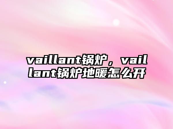 vaillant鍋爐，vaillant鍋爐地暖怎么開