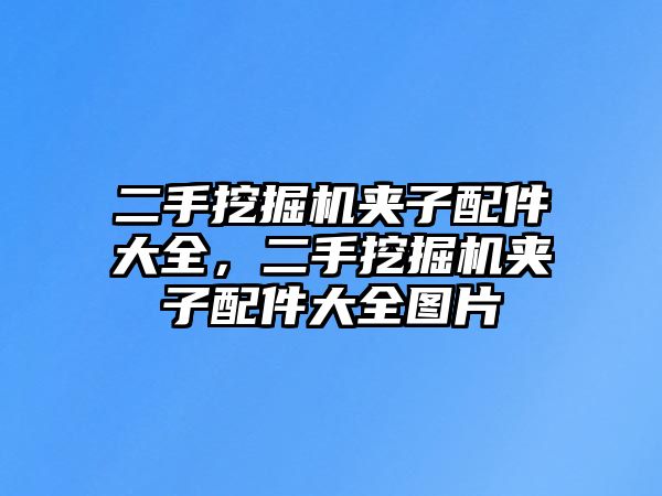 二手挖掘機夾子配件大全，二手挖掘機夾子配件大全圖片