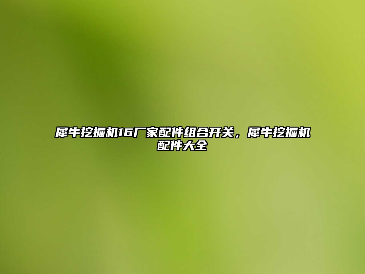 犀牛挖掘機16廠家配件組合開關(guān)，犀牛挖掘機配件大全