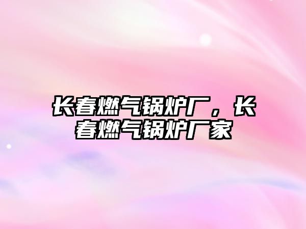 長春燃?xì)忮仩t廠，長春燃?xì)忮仩t廠家