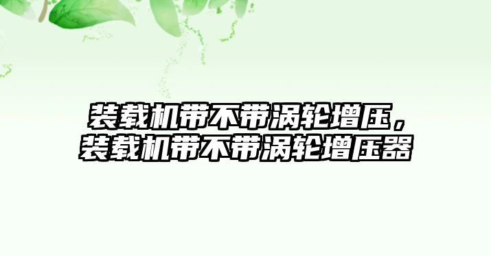 裝載機(jī)帶不帶渦輪增壓，裝載機(jī)帶不帶渦輪增壓器