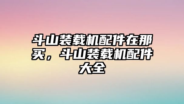 斗山裝載機配件在那買，斗山裝載機配件大全