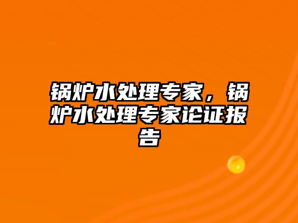 鍋爐水處理專家，鍋爐水處理專家論證報告