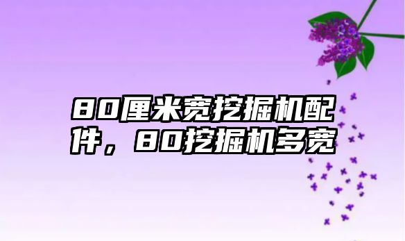 80厘米寬挖掘機(jī)配件，80挖掘機(jī)多寬