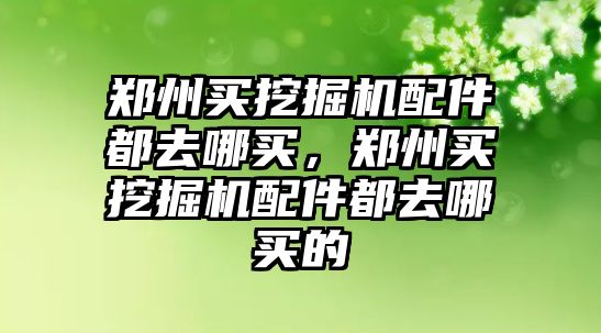 鄭州買挖掘機(jī)配件都去哪買，鄭州買挖掘機(jī)配件都去哪買的