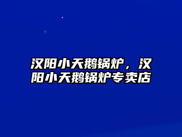 漢陽小天鵝鍋爐，漢陽小天鵝鍋爐專賣店