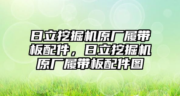 日立挖掘機原廠履帶板配件，日立挖掘機原廠履帶板配件圖