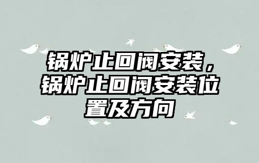 鍋爐止回閥安裝，鍋爐止回閥安裝位置及方向