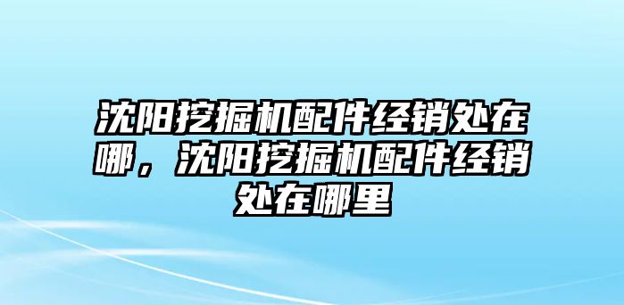 沈陽挖掘機(jī)配件經(jīng)銷處在哪，沈陽挖掘機(jī)配件經(jīng)銷處在哪里