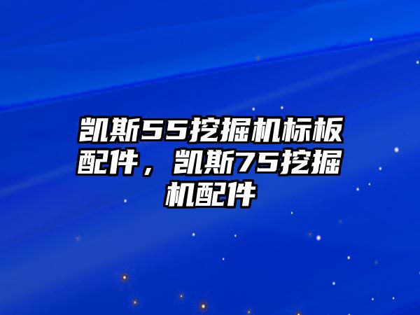 凱斯55挖掘機(jī)標(biāo)板配件，凱斯75挖掘機(jī)配件