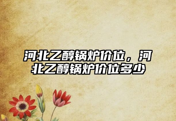 河北乙醇鍋爐價(jià)位，河北乙醇鍋爐價(jià)位多少