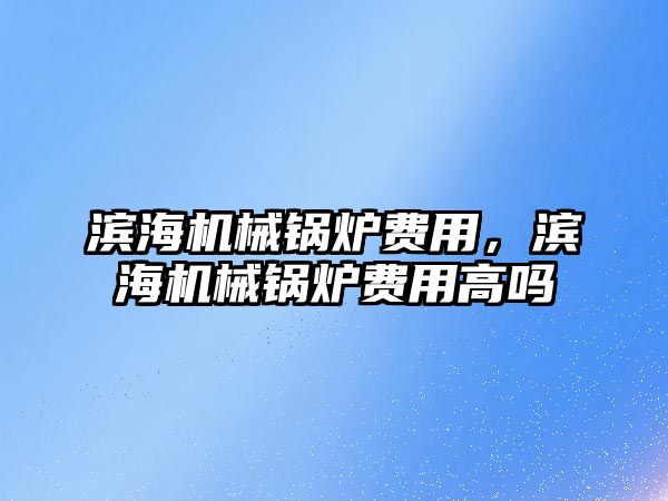 濱海機械鍋爐費用，濱海機械鍋爐費用高嗎