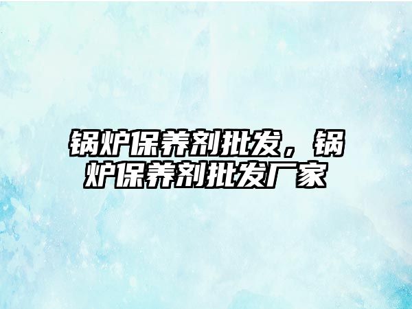 鍋爐保養(yǎng)劑批發(fā)，鍋爐保養(yǎng)劑批發(fā)廠家