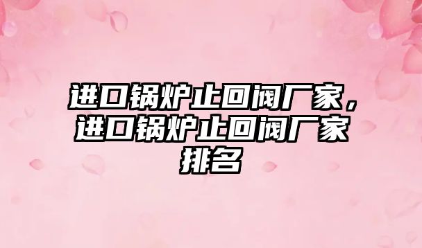 進(jìn)口鍋爐止回閥廠家，進(jìn)口鍋爐止回閥廠家排名