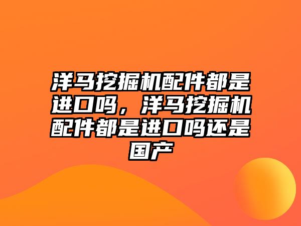 洋馬挖掘機配件都是進口嗎，洋馬挖掘機配件都是進口嗎還是國產