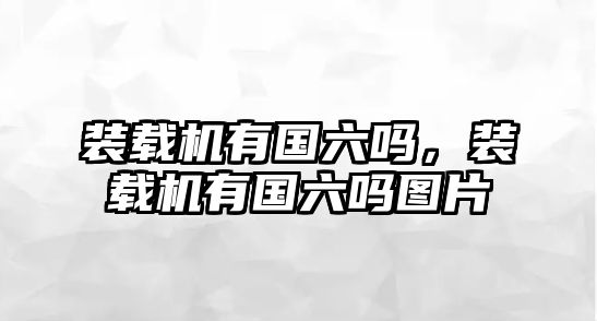 裝載機(jī)有國(guó)六嗎，裝載機(jī)有國(guó)六嗎圖片