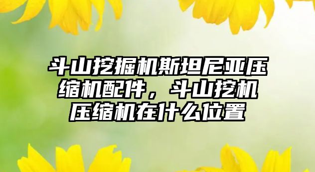 斗山挖掘機斯坦尼亞壓縮機配件，斗山挖機壓縮機在什么位置