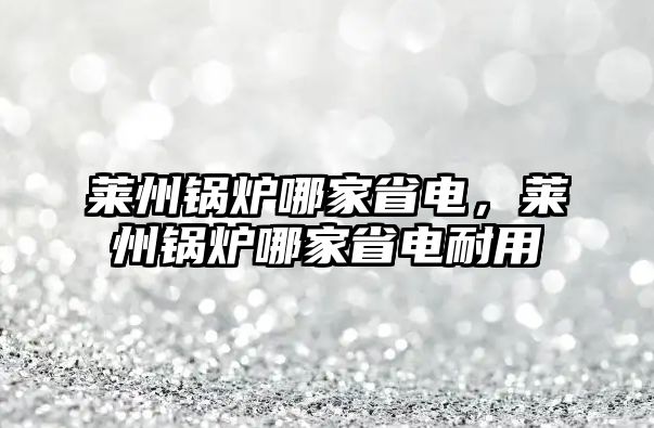 萊州鍋爐哪家省電，萊州鍋爐哪家省電耐用