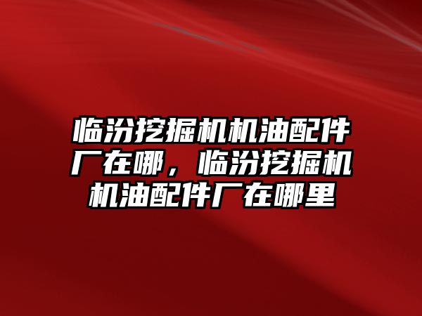 臨汾挖掘機機油配件廠在哪，臨汾挖掘機機油配件廠在哪里